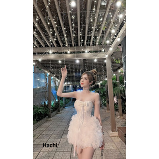 Đầm tafta đính cv hoa siêu xinh