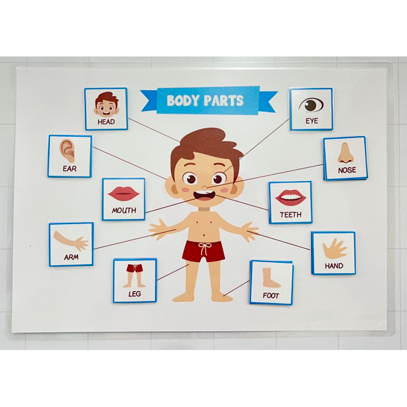(BUSY BOOK) Học liệu bóc dán nhiều chủ đề tiếng anh dành cho bé