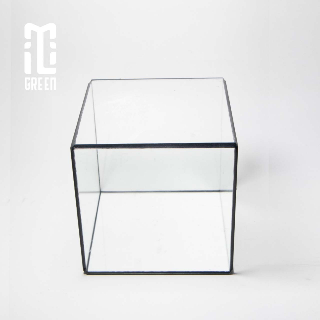 Terrarium, Bể kính Terrarium, Bể kính, Trang trí Terrarium, Setup bàn làm việc