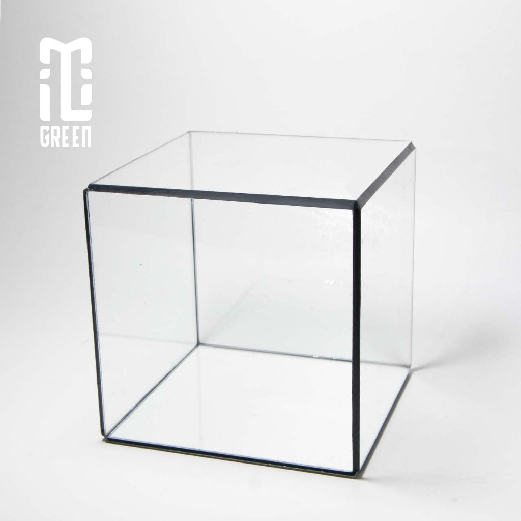 Terrarium, Bể kính Terrarium, Bể kính, Trang trí Terrarium, Setup bàn làm việc