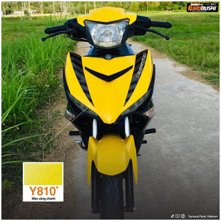 Y810 sơn xịt Samurai MÀU VÀNG CHANH