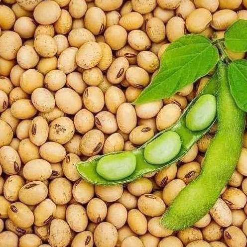1Kg Đậu Tương Đậu Nành Sấy Giòn Loại 1 Giòn Thơm
