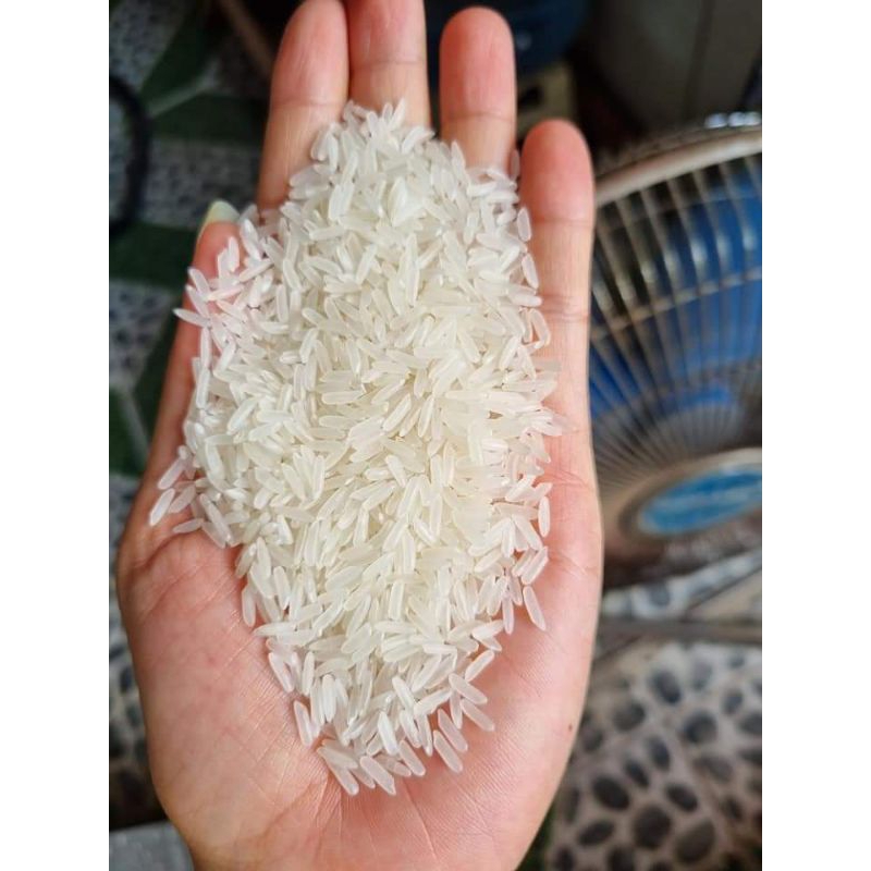 Gạolaicambuchiathomngon