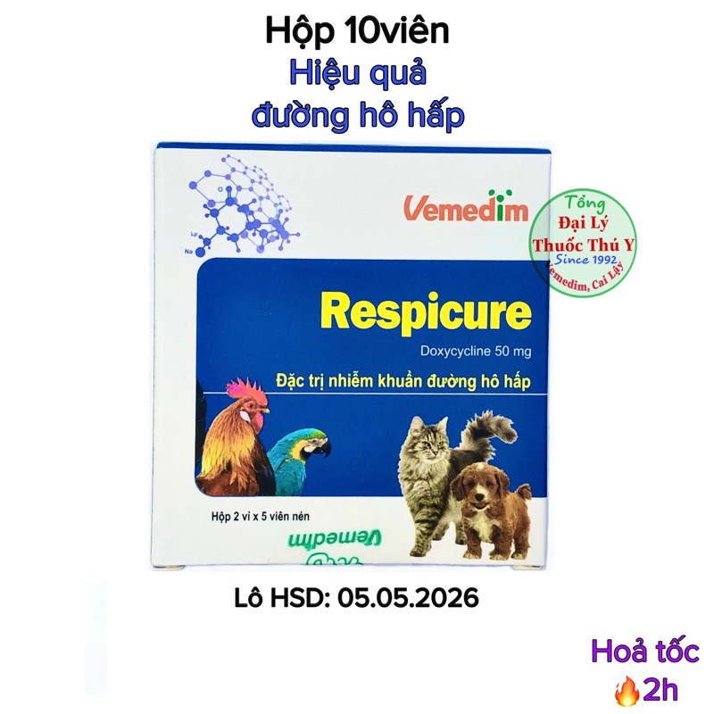 Respicure dùng cho chó mèo, chim gà hỗ trợ hô hấp trên
