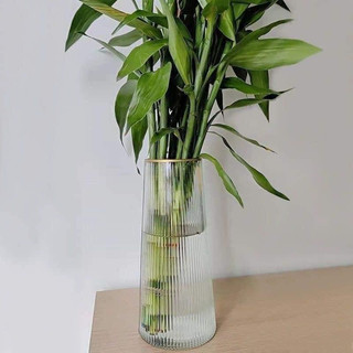 COMBO 2 LỌ HOA THUỶ TINH VIỀN VÀNG 22CM