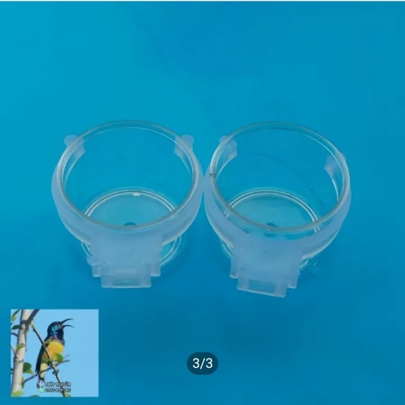 Cóng Ăn Cho Chim Cảnh