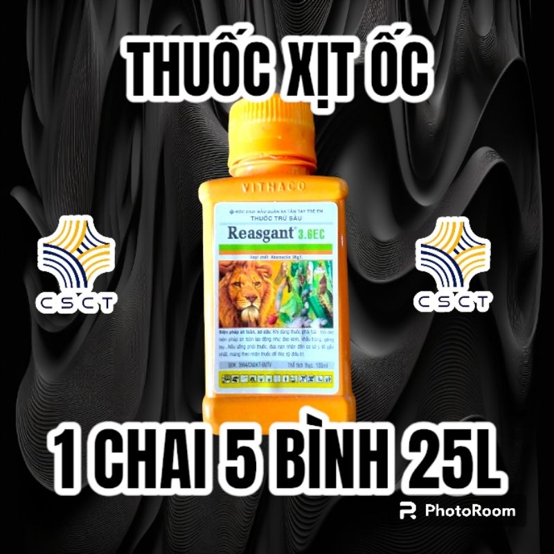 Phòng Ngừa Các Loại Ốc Sên Ăn Lá Xà Lách, Ốc Bưu Vàng Ăn Lá Rau, Ốc Sên Ăn Lá Cây Con, Ốc Ăn Lá Cải Ngọt, Ốc Ăn Cải Xanh