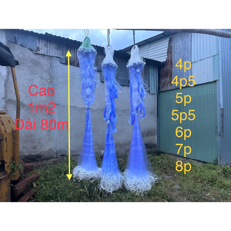 Lưới 3 màn chiều cao 1m2 chiều dài 80m, cỡ lưới 4p,4p5,5p,6p,7p,8p