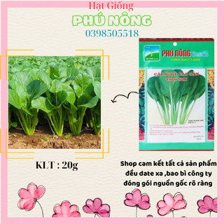Hạt giống rau cải ngọt Phú Nông ngon ngọt 20 gr
