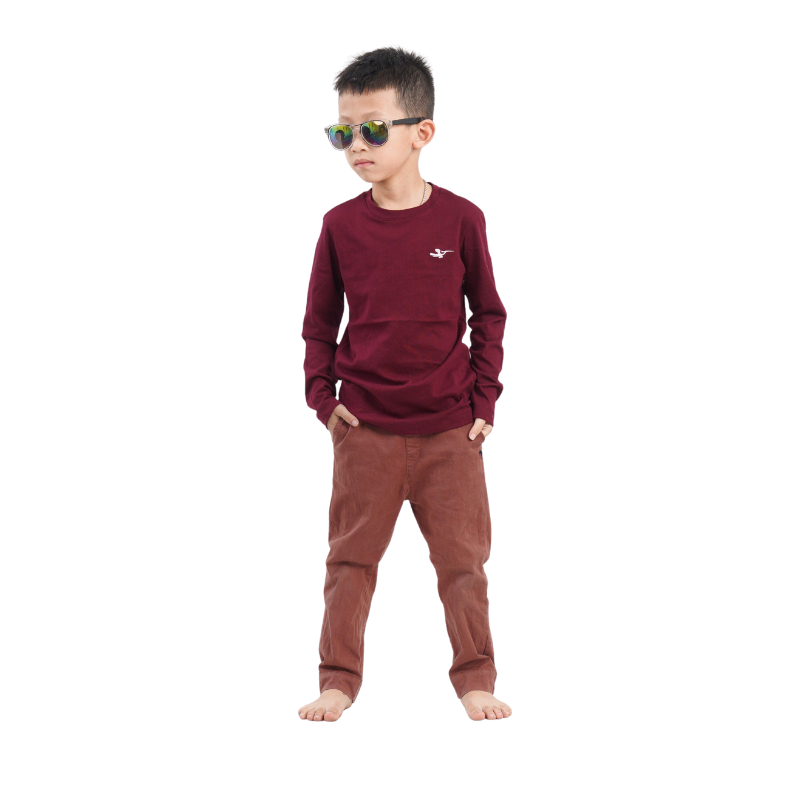 Áo thu đông dài tay Falumar bé trai, áo phông cổ tròn tay dài chất cotton nhiều màu sắc size từ 3-10t