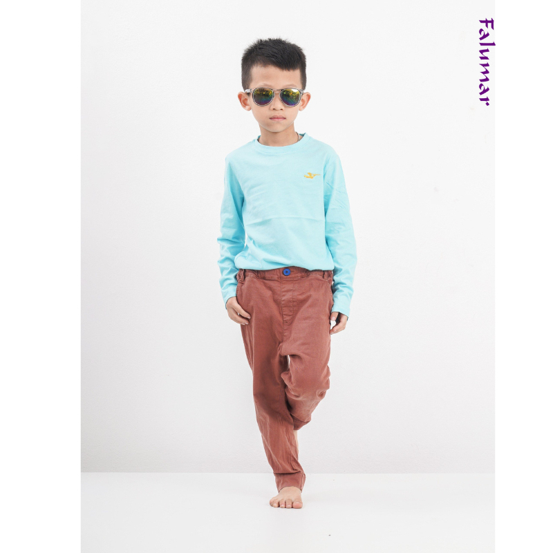 Áo thu đông dài tay Falumar bé trai, áo phông cổ tròn tay dài chất cotton nhiều màu sắc size từ 3-10t