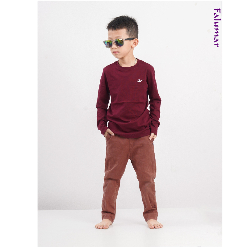 Áo thu đông dài tay Falumar bé trai, áo phông cổ tròn tay dài chất cotton nhiều màu sắc size từ 3-10t