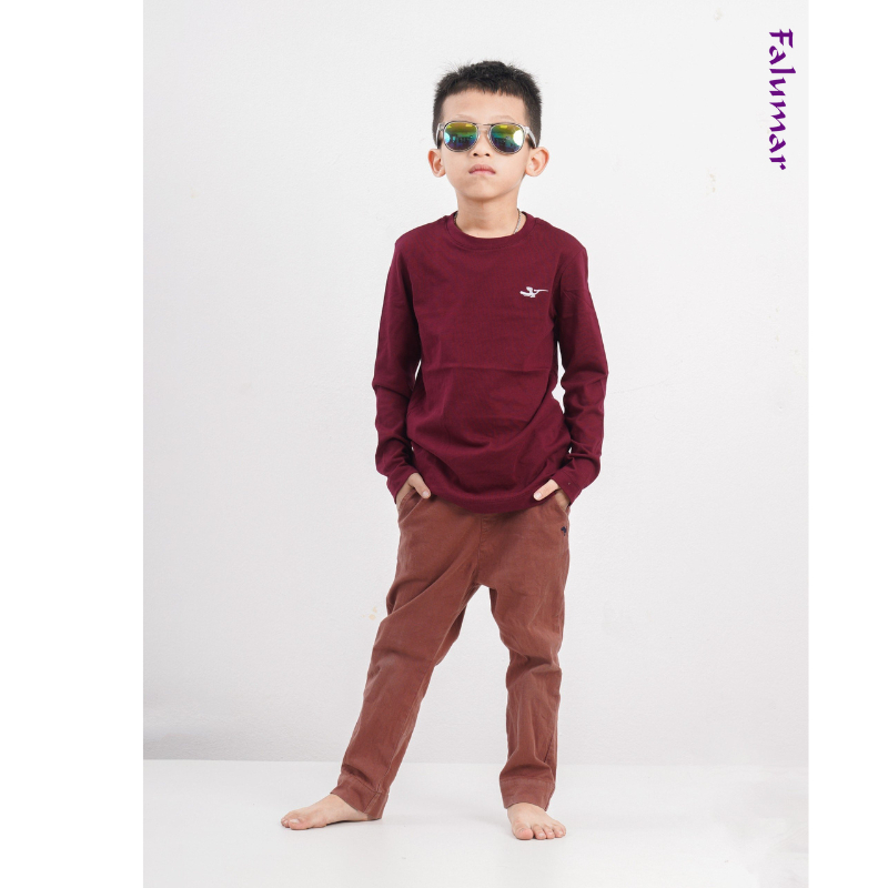 Áo thu đông dài tay Falumar bé trai, áo phông cổ tròn tay dài chất cotton nhiều màu sắc size từ 3-10t