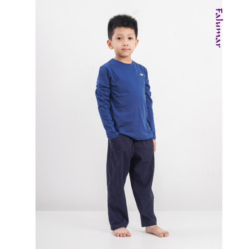 Áo thu đông dài tay Falumar bé trai, áo phông cổ tròn tay dài chất cotton nhiều màu sắc size từ 3-10t