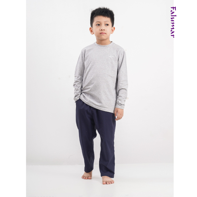 Áo thu đông dài tay Falumar bé trai, áo phông cổ tròn tay dài chất cotton nhiều màu sắc size từ 3-10t