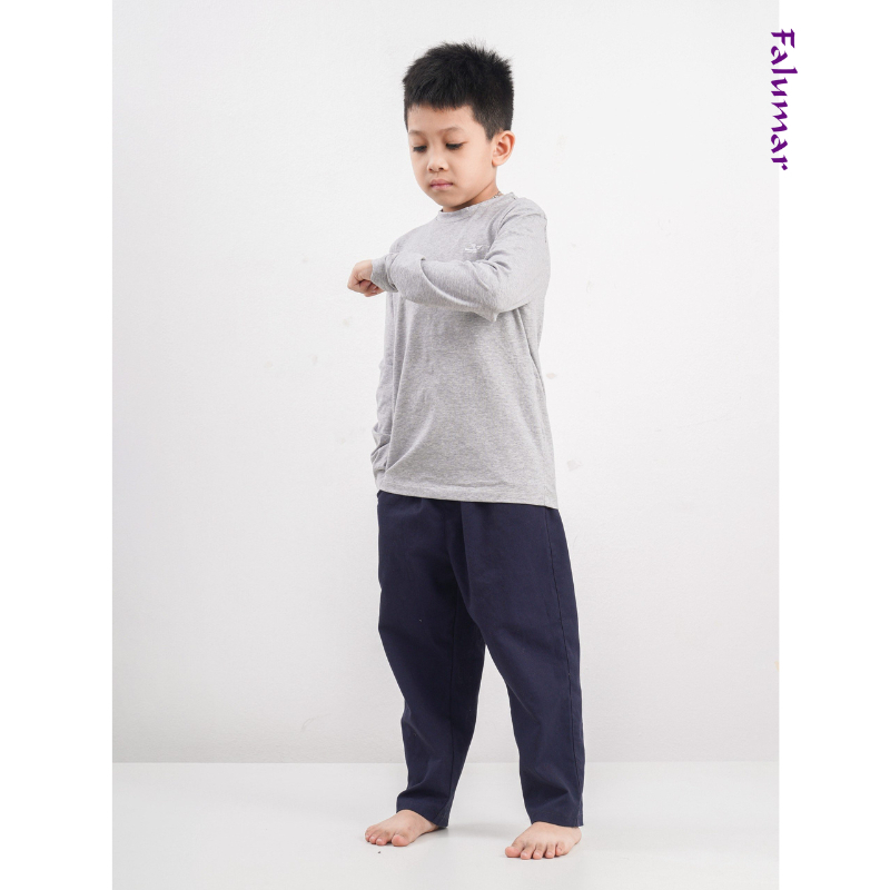 Áo thu đông dài tay Falumar bé trai, áo phông cổ tròn tay dài chất cotton nhiều màu sắc size từ 3-10t