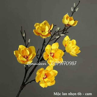 Cành hoa mộc lan 6 bông dài 130cm trang trí cắm bình decor