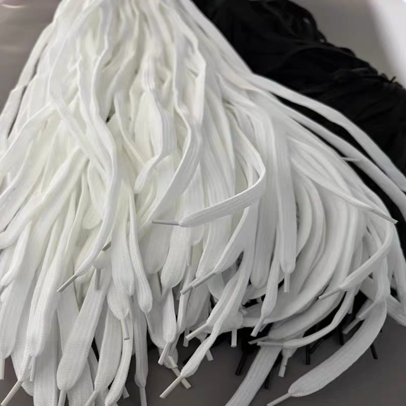 Dây giày Thể Thao giày sneaker đủ màu đủ loại  Dẹt Siêu Đẹp