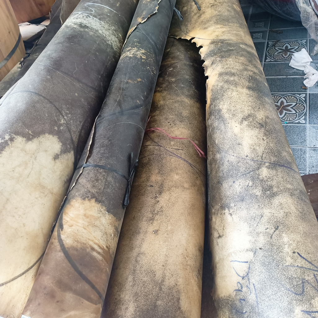 Da trâu phong thủy, da trâu trừ tà