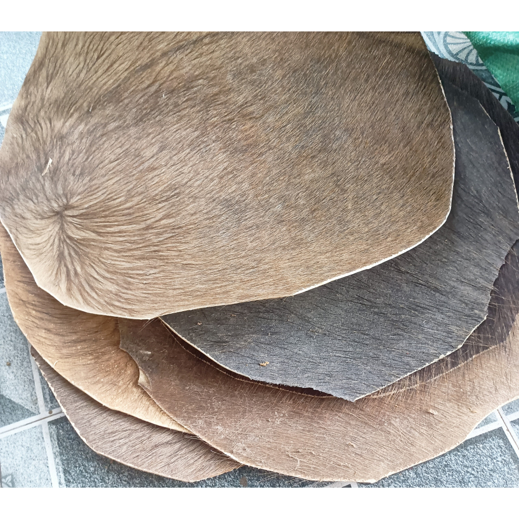 Da trâu phong thủy, da trâu trừ tà