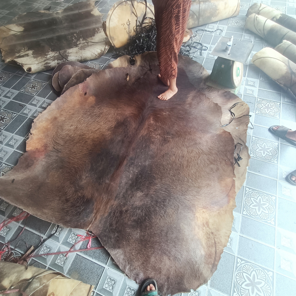 Da trâu phong thủy, da trâu trừ tà