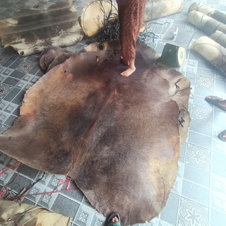 Da trâu phong thủy, da trâu trừ tà