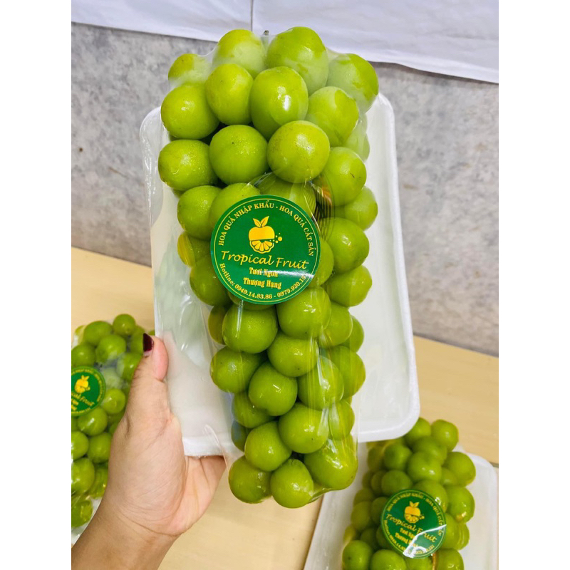 HOẢ TỐC NHO SỮA CHÙM SIÊU NGON SIÊU NGỌT