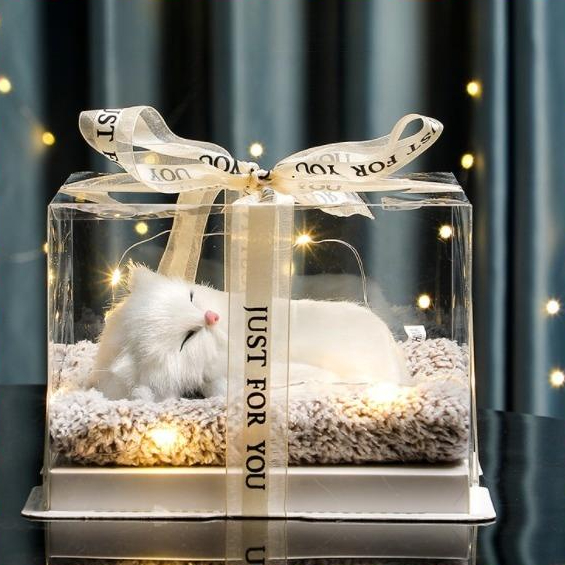 Hộp Quà Tặng Thú Cưng Mèo Trắng, Hộp Quà Sinh Nhật, Decor Trang Trí