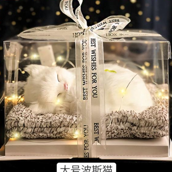 Hộp Quà Tặng Thú Cưng Mèo Trắng, Hộp Quà Sinh Nhật, Decor Trang Trí