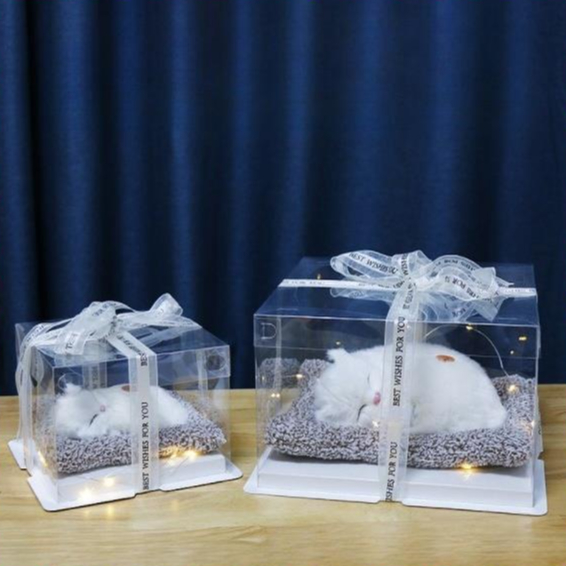 Hộp Quà Tặng Thú Cưng Mèo Trắng, Hộp Quà Sinh Nhật, Decor Trang Trí