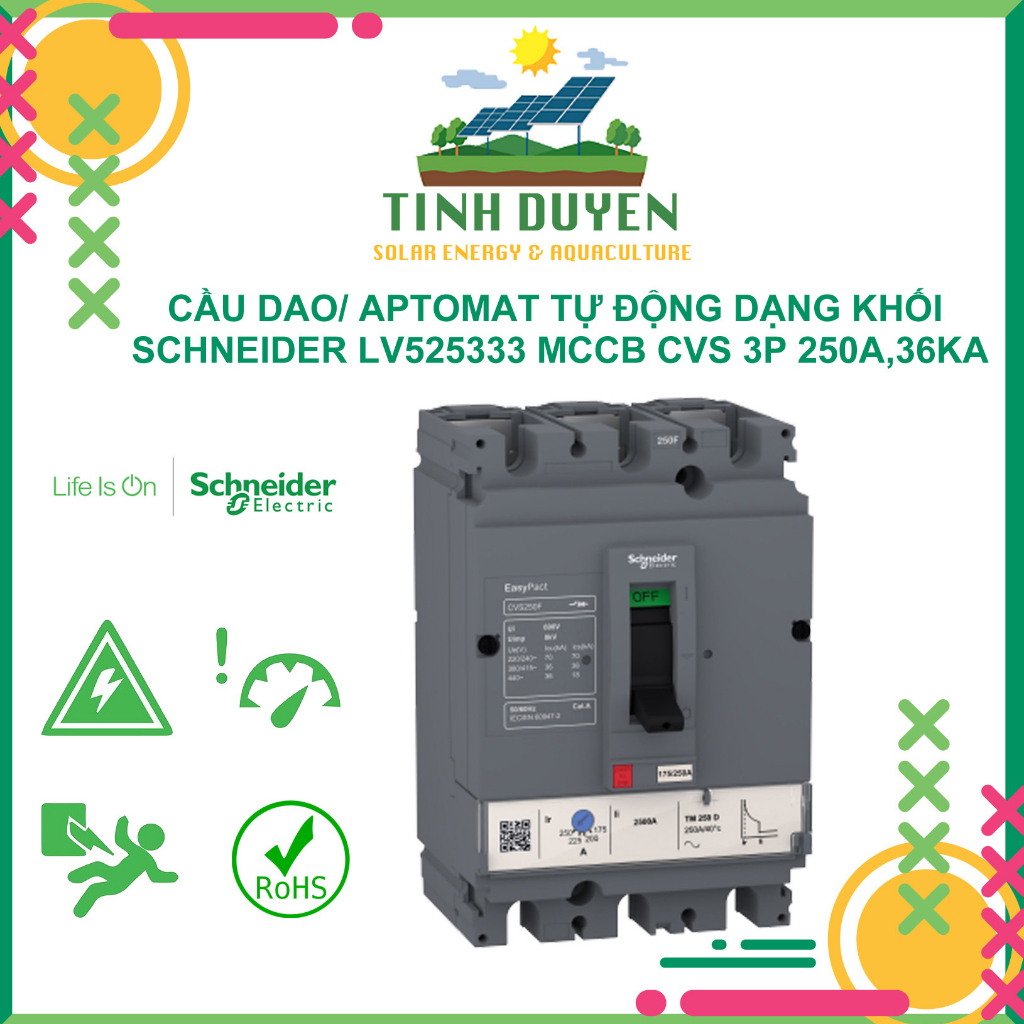 Cầu dao/ aptomat tự động dạng khối schneider LV525333 MCCB CVS 3P 250A,36KA bảo vệ quá tải, ngắn mạc