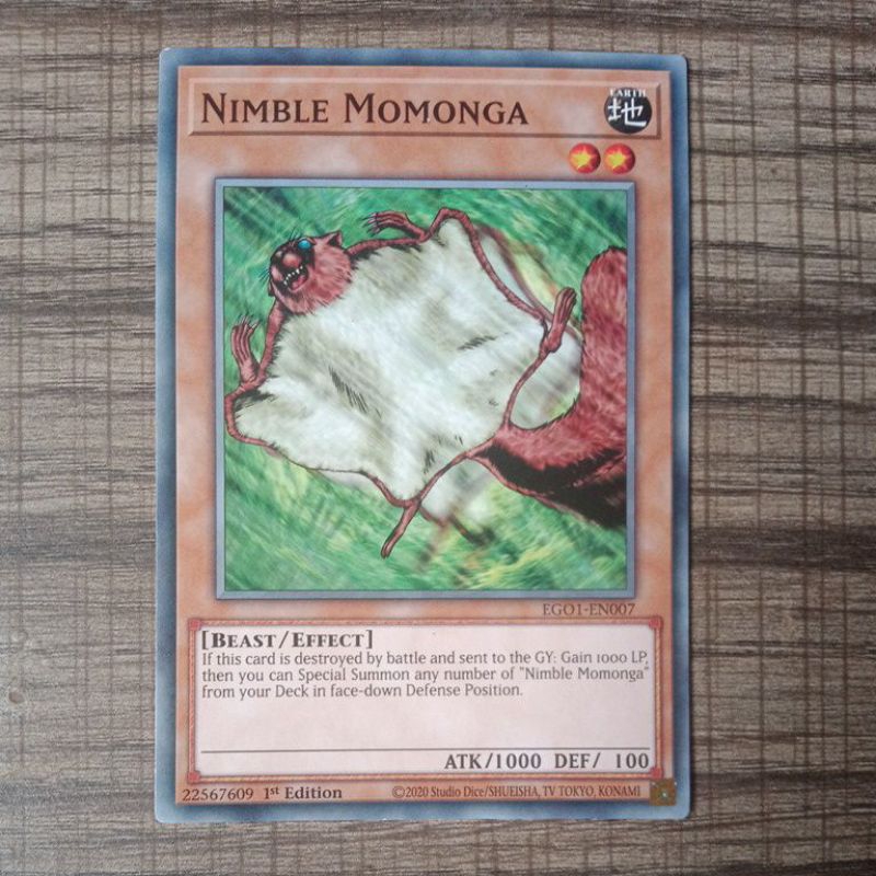 Nimble Momoga