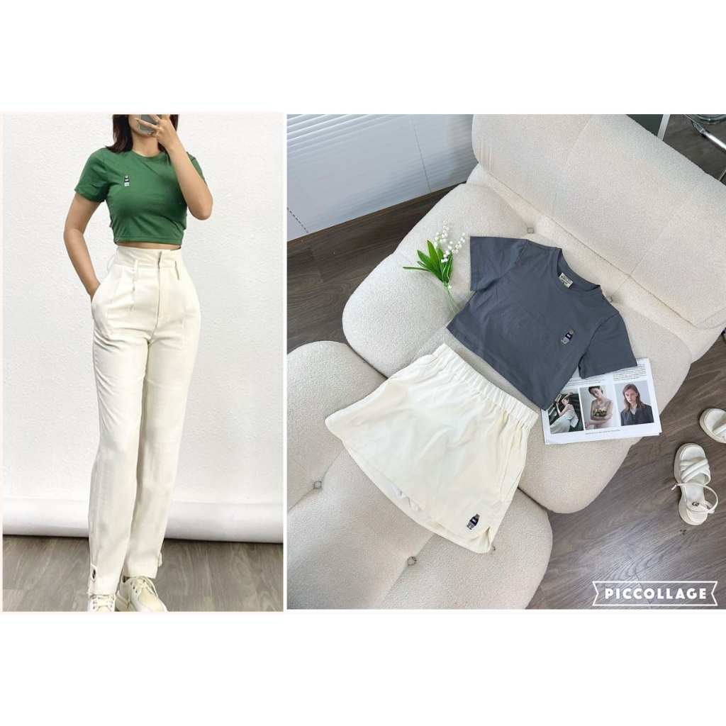 Áo Thun Wh@au Trơn Thêu Gấu KAMI