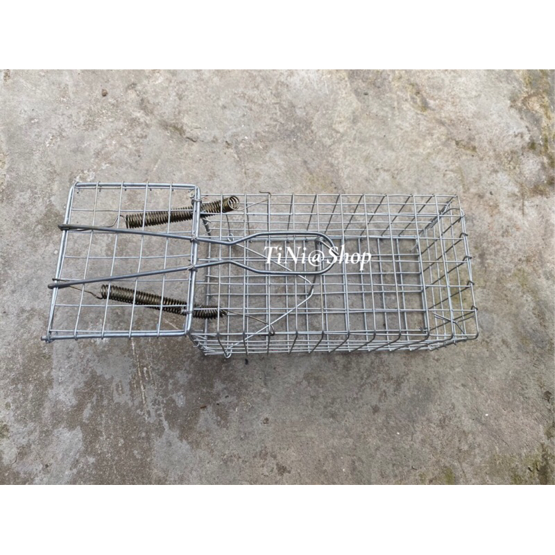 Combo 50 Lò Xo Bẫy Chuột,Bẫy Sóc