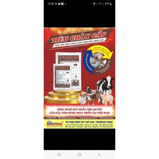 Tiêu chảy heo gói 100 gam