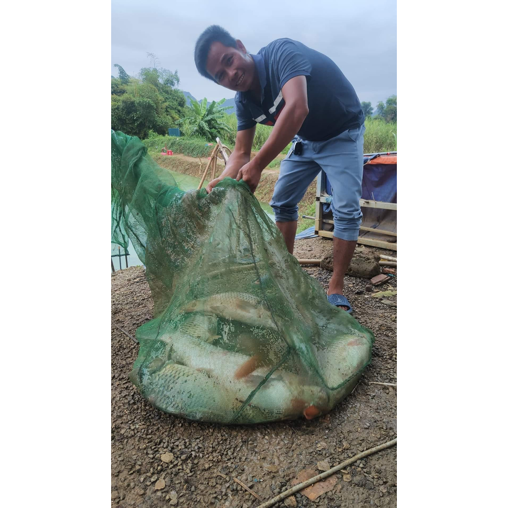 Nước Xanh Câu Cá Trắm Cá Chép Đem Lại Hiệu Qủa Cao