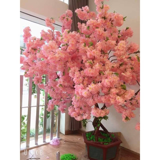 Hoa đào giả - Hoa anh đào nở đại 3 nhánh