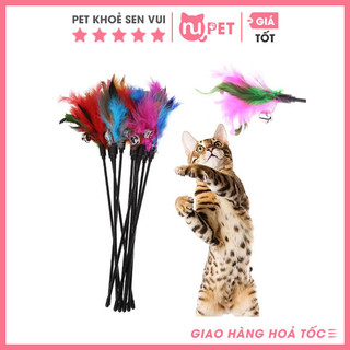 Cần câu mèo lông vũ | Đồ chơi cho mèo