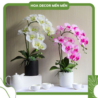Hoa Lan Giả - Cành Lan Hồ Điệp 3 Nhánh 12 Bông (1m) Cao cấp - Hoa trang trí, để bàn - Hoadecormenmen