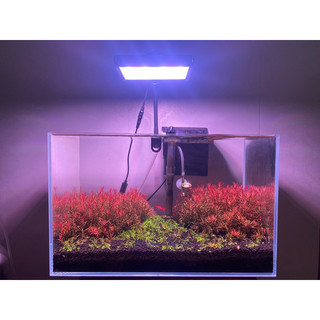 Đèn Led Bể Cá Nano Soco Light RRGB App
