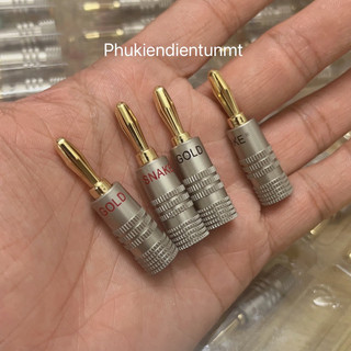 Rắc loa bắp chuối đẹp godl snake