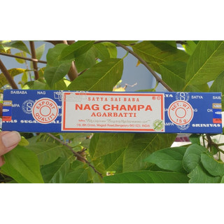 Nhang thơm ấn độ, thanh hương satya sai baba nag champa