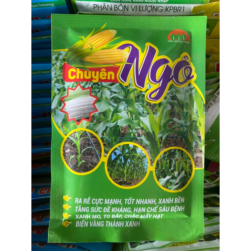 Phân bón CHUYÊN BẮP Ra Rễ,Xanh Mo,To Bắp,Chắc Hạt