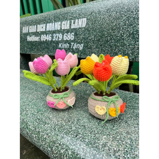Chậu hoa để bàn bằng len handmade