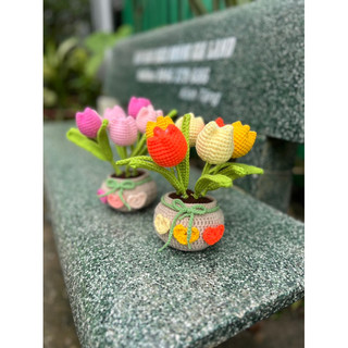 chậu hoa để bàn bằng len handmade
