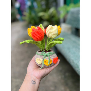 chậu hoa để bàn bằng len handmade