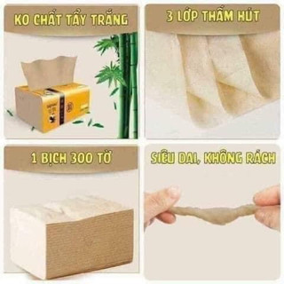 GIẤY ĂN GẤU TRÚC