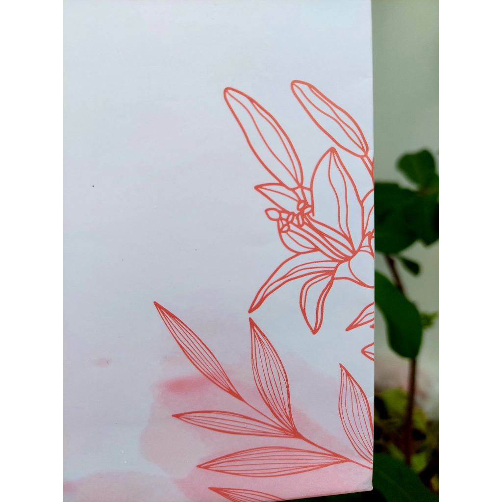 Túi quà tặng, túi giấy đựng quà, dựng sản phẩm.