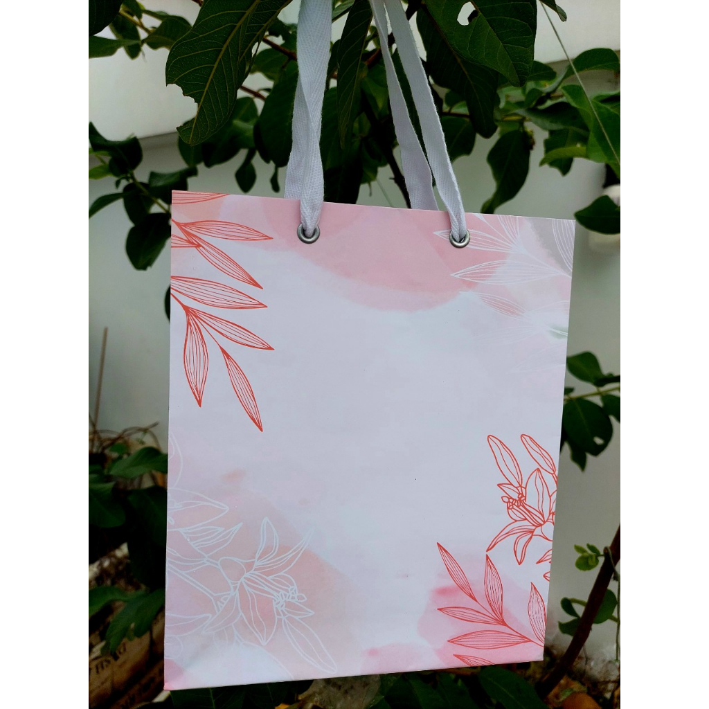 Túi quà tặng, túi giấy đựng quà, dựng sản phẩm.