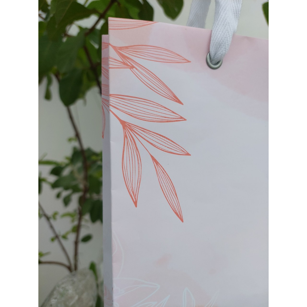 Túi quà tặng, túi giấy đựng quà, dựng sản phẩm.